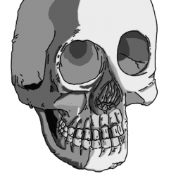 draw this skull