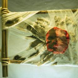 bamboo frame with ropes and  wrapped in bandages with sand glued to it